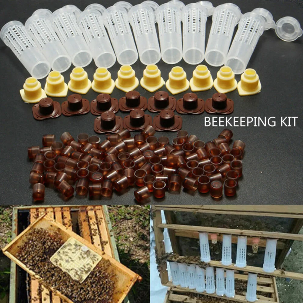 With 100 Cell Cups Beekeeping Catcher Box Complete Bee Rearing Cupkit System