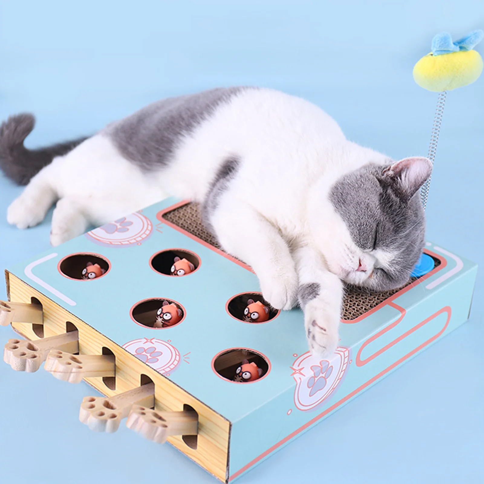Funny cat toy rotary table ball cat scraper circular corrugated rotary table grinder circular porous grinding claw training
Funny cat toy rotary table ball cat scraper circular corrugated rotary table grinder circular porous grinding claw training