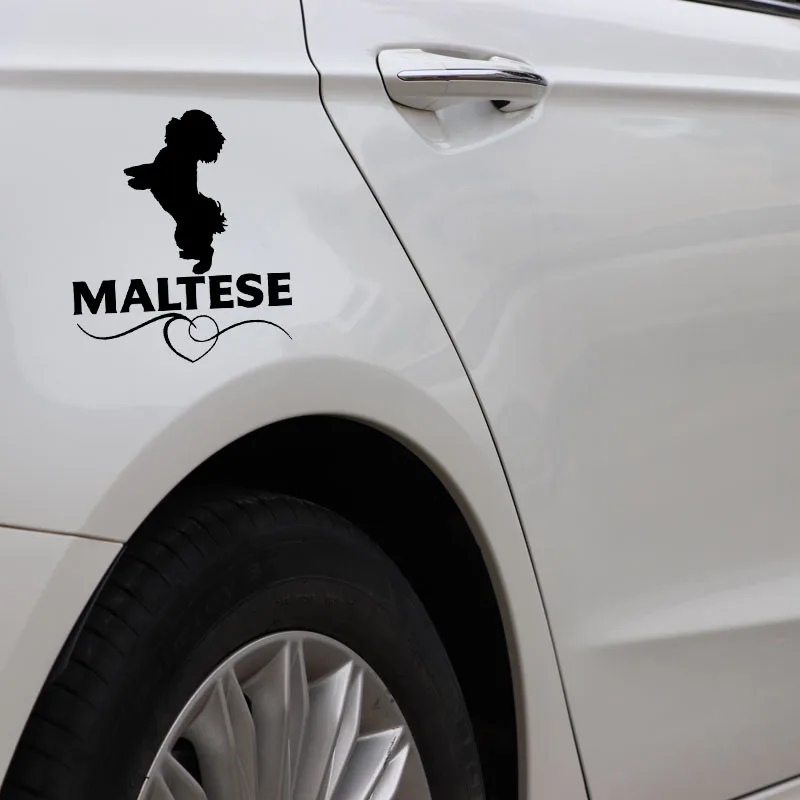 Car Sticker Motorcycle Sticker Malta Love PVC Waterproof Sunscreen Sticker Dog Breed Pet Animal Black/Silver 12x13.9cm
Car Sticker Motorcycle Sticker Malta Love PVC Waterproof Sunscreen Sticker Dog Breed Pet Animal Black/Silver 12x13.9cm