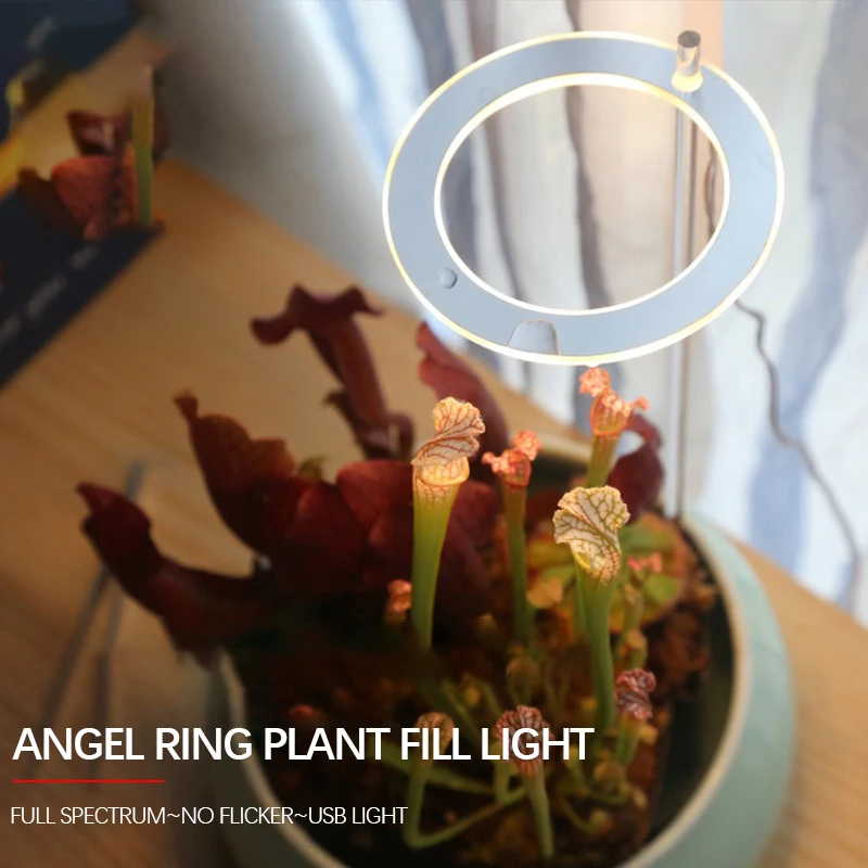 Angel Ring Grow Light USB Phytolamp For Plants Led Full Spectrum Lamp Greenhouse Indoor Plant Seedlings Home Flower Succulet
Angel Ring Grow Light USB Phytolamp For Plants Led Full Spectrum Lamp Greenhouse Indoor Plant Seedlings Home Flower Succulet