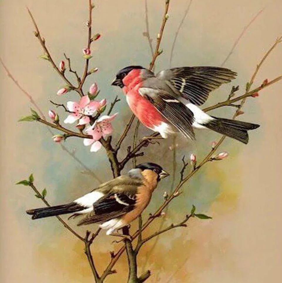 Sparrow Couple on Tree 5D Diamond Painting Full Squre Home Decor DIY Wall Art Animal Mosaic Rhinestone Picture Christmas Gift
Sparrow Couple on Tree 5D Diamond Painting Full Squre Home Decor DIY Wall Art Animal Mosaic Rhinestone Picture Christmas Gift
