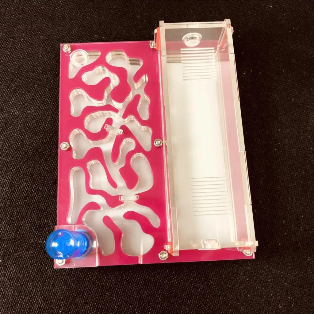 150mmx110mm test tube Moisture big space Ant Nest ,Ant Farm Acrylic, Insect ants Villa House Ants Ecological Workshop
150mmx110mm test tube Moisture big space Ant Nest ,Ant Farm Acrylic, Insect ants Villa House Ants Ecological Workshop