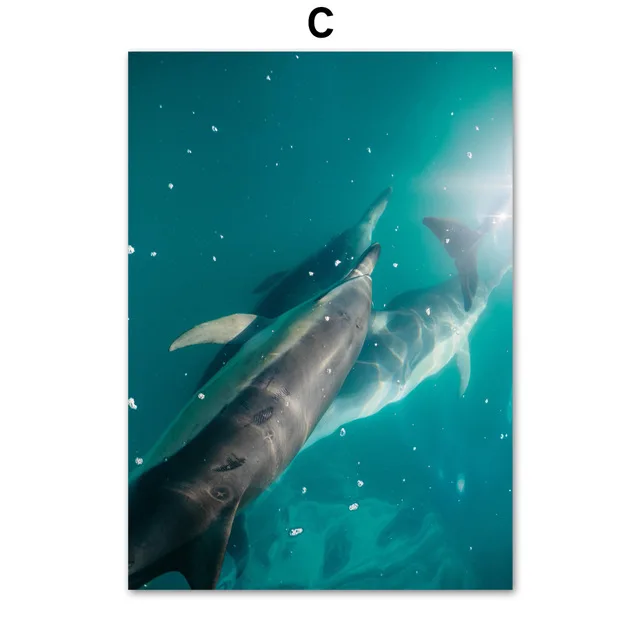 Sea Ocean Whale Dolphin Seascape Wall Art Canvas Painting Nordic Posters And Prints Wall Pictures Bedroom Decor quadro plakat
Sea Ocean Whale Dolphin Seascape Wall Art Canvas Painting Nordic Posters And Prints Wall Pictures Bedroom Decor quadro plakat