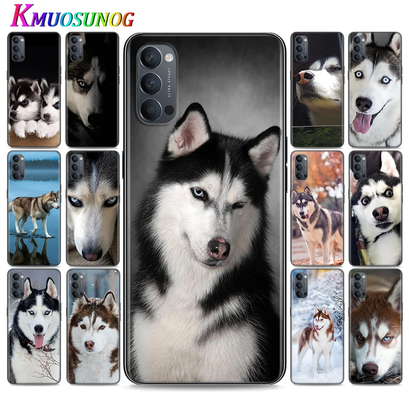Silicone Cover Animal Cute husky dog for OPPO Reno 4 3 Pro 10X Zoom 2 Z F ACE X2 Pro 5G A5 A9 2020 Phone Case
Silicone Cover Animal Cute husky dog for OPPO Reno 4 3 Pro 10X Zoom 2 Z F ACE X2 Pro 5G A5 A9 2020 Phone Case