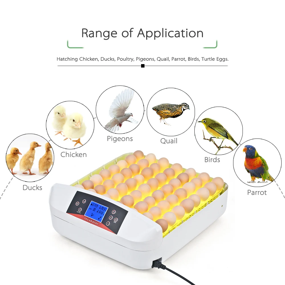New 56 Eggs Incubator Full-automatic Egg Incubator Hatcher Eggs Hatching Machine with Temperature Control Onekey LED Egg Tester
New 56 Eggs Incubator Full-automatic Egg Incubator Hatcher Eggs Hatching Machine with Temperature Control Onekey LED Egg Tester