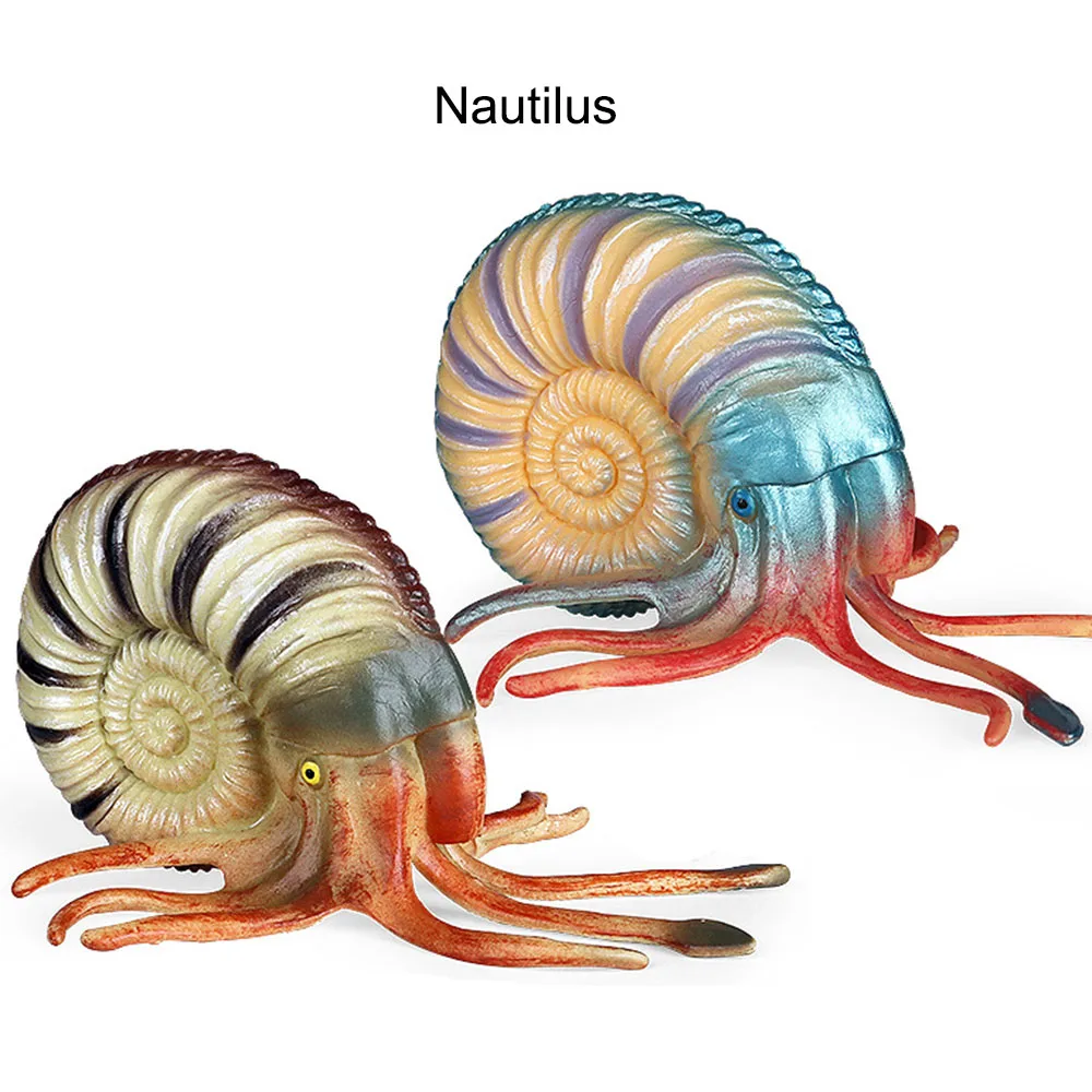 Simulated Marine Biological Model Ancient Creature Nautilus Fish Tank Decoration Figurines Action Figures Collection Kids Toys
Simulated Marine Biological Model Ancient Creature Nautilus Fish Tank Decoration Figurines Action Figures Collection Kids Toys