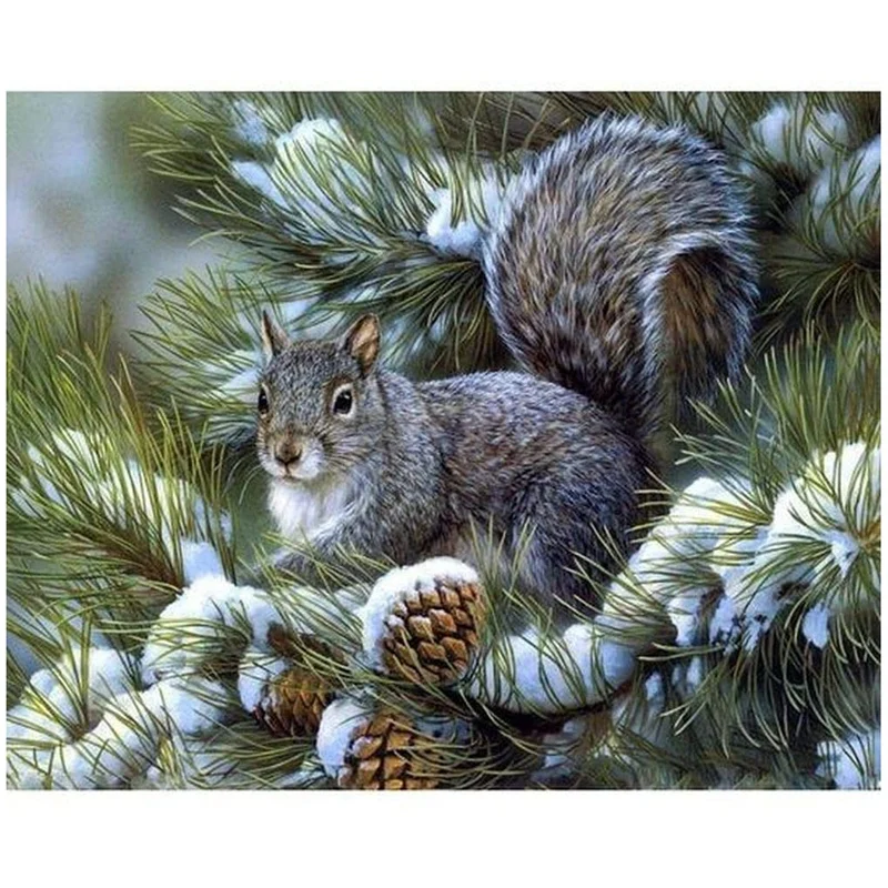 Набор для алмазной вышивки «сделай сам» с цифрами, для взрослых, полная вышивка, стразы, рисование, ручная работа, белки, есть фрукты 
Набор для алмазной вышивки «сделай сам» с цифрами, для взрослых, полная вышивка, стразы, рисование, ручная работа, белки, есть фрукты