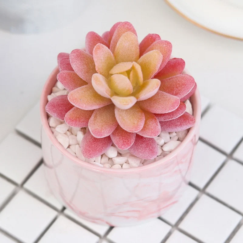 Simulation Fleshy Potted Ornaments Artificial Fake Green Plants Bonsai Home Desktop Living Room Decor Artificial Plants
Simulation Fleshy Potted Ornaments Artificial Fake Green Plants Bonsai Home Desktop Living Room Decor Artificial Plants