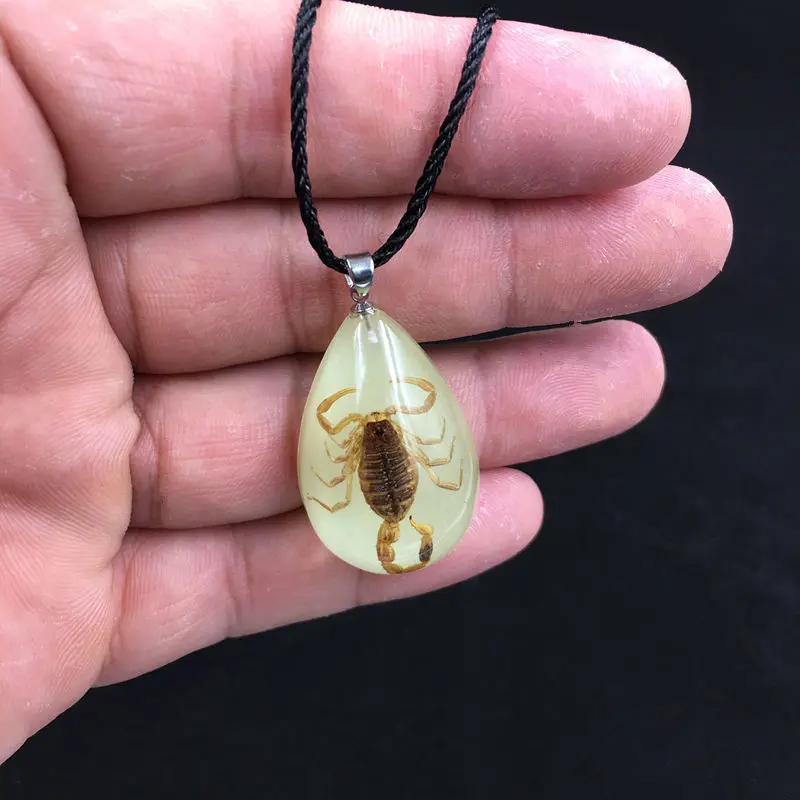 Natural Insect Luminous Stone Natural Scorpions Necklace Genuine Baltic Pendant special gift insect Organic amber Craft
Natural Insect Luminous Stone Natural Scorpions Necklace Genuine Baltic Pendant special gift insect Organic amber Craft