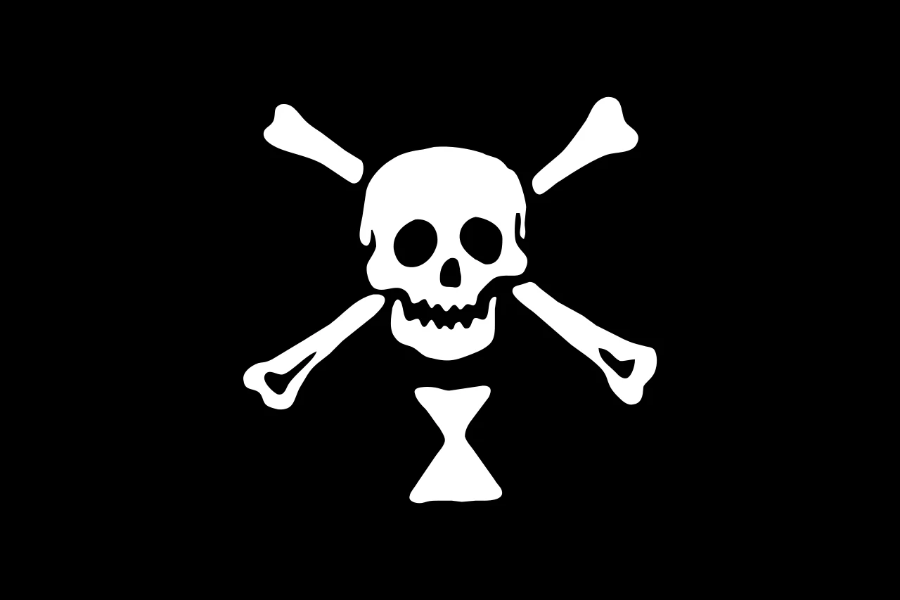 

Флаг пирата Эмануэль виньне Летающий баннер из полиэстера Бесплатная доставка Череп Джелли Роджер
