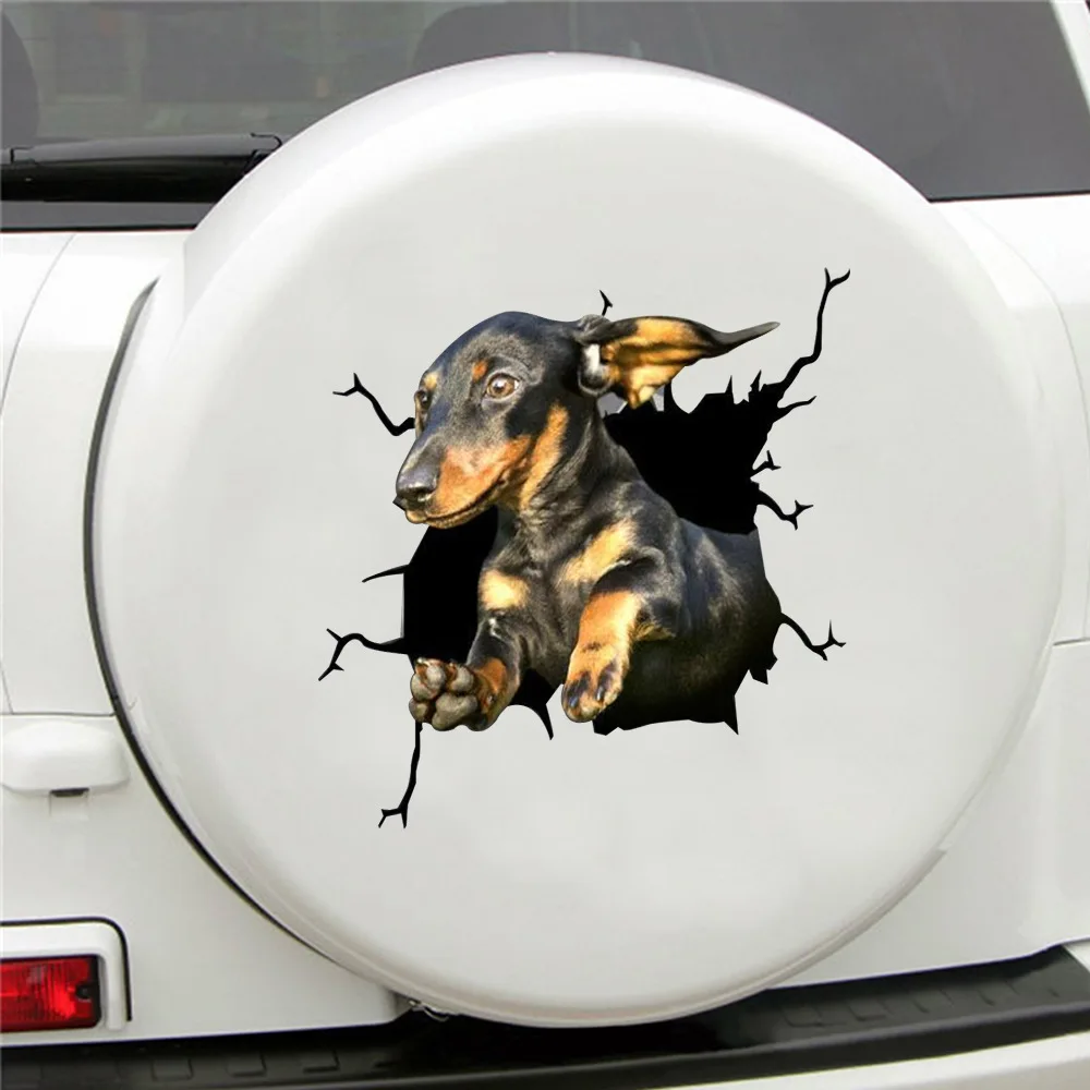 Animals Crack Car Sticker Paper Simulation Innovative Glass Window Sticker Car Decoration Home Decoration Accessories
Animals Crack Car Sticker Paper Simulation Innovative Glass Window Sticker Car Decoration Home Decoration Accessories