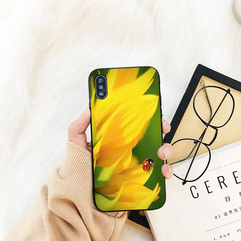 ladybug daisy Phone Case For iPhone 11 8 7 6 6S Plus X XS MAX 5 5S se 2020 11 12pro max iphone xr case
ladybug daisy Phone Case For iPhone 11 8 7 6 6S Plus X XS MAX 5 5S se 2020 11 12pro max iphone xr case