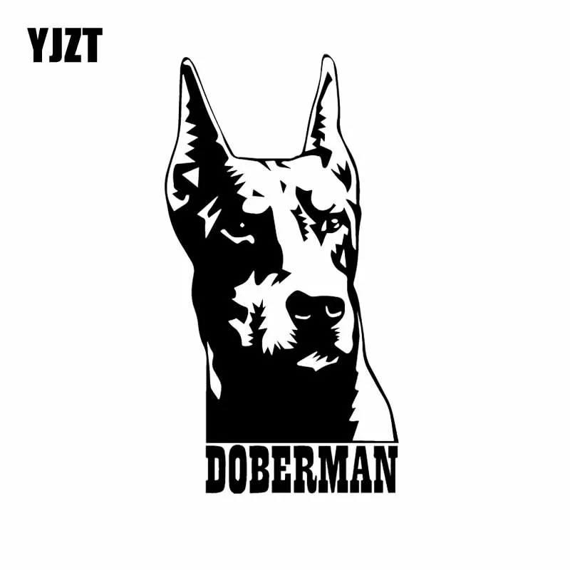 YJZT 8.9X16.7CM Car Sticker Decor Vinyl Decal Window Bumper Doberman Dog Pet Dobe Black/Silver C24-1180
YJZT 8.9X16.7CM Car Sticker Decor Vinyl Decal Window Bumper Doberman Dog Pet Dobe Black/Silver C24-1180