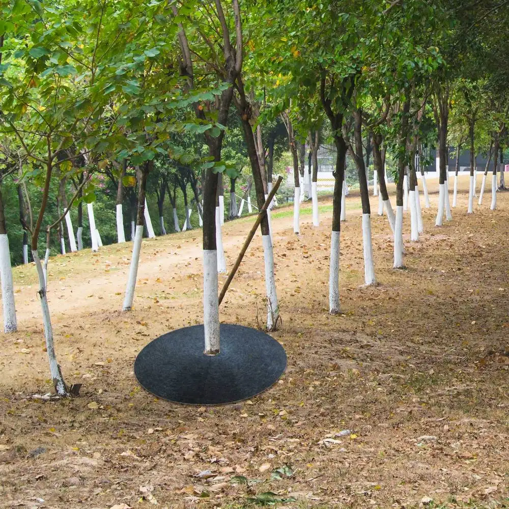 Weed Control Fabric Ground Cove Weed-proof Cloth Non-Woven Durable 6pcs Biodegradable Cover
Weed Control Fabric Ground Cove Weed-proof Cloth Non-Woven Durable 6pcs Biodegradable Cover