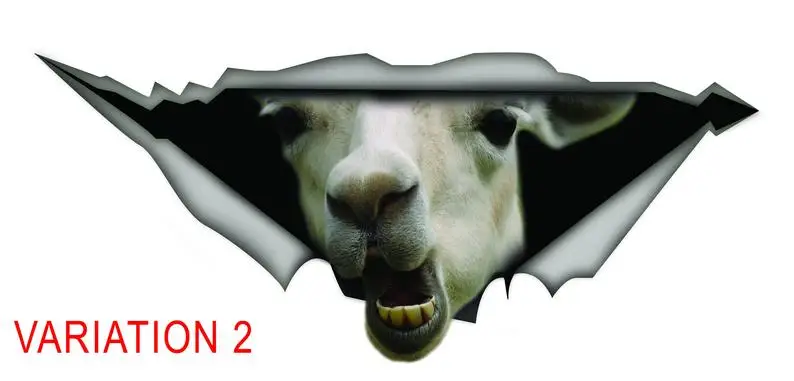 2021 DECAL, Lama car decal, lama sticker, 3D decal
2021 DECAL, Lama car decal, lama sticker, 3D decal