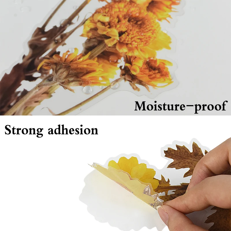 6Pcs/Set Simulation Plant Stickers Floral Green Plant Stickers DIY Scrapbooking Diary Stationery Craft Label Sticker 
6Pcs/Set Simulation Plant Stickers Floral Green Plant Stickers DIY Scrapbooking Diary Stationery Craft Label Sticker