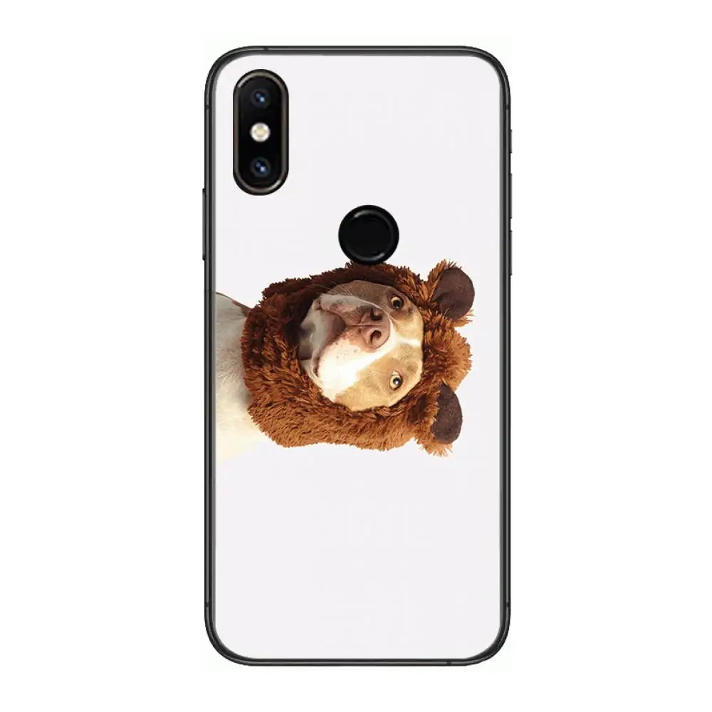 Personality dress pet dog Fashionable and cute Phone Case For xiaomi M2 C3 X3 F2 Lite NFC 6 5 x Poco k30 Pro Anime Black Cover
Personality dress pet dog Fashionable and cute Phone Case For xiaomi M2 C3 X3 F2 Lite NFC 6 5 x Poco k30 Pro Anime Black Cover