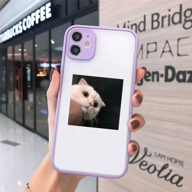 Lovely animal cat Phone Case matte transparent For iphone 7 8 11 12 plus mini x xs xr pro max cover
Lovely animal cat Phone Case matte transparent For iphone 7 8 11 12 plus mini x xs xr pro max cover