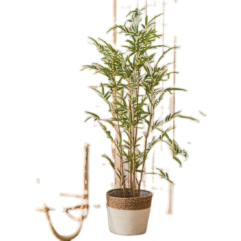 Simulation bamboo floor fake bamboo living room new Chinese Zen green plant potted ornaments large plant decorative bonsai
Simulation bamboo floor fake bamboo living room new Chinese Zen green plant potted ornaments large plant decorative bonsai