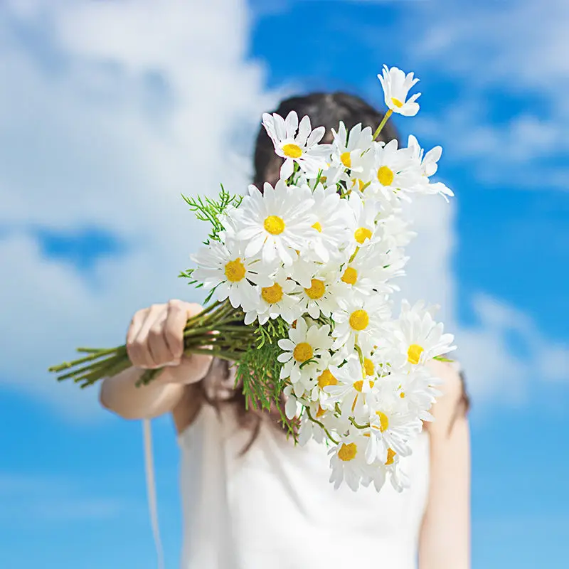 53CM INS Daisy Flowers Yellow Silk Artificial Flower Bouquet 5 Flower Head Fake Flowers for Home Wedding Decoration Cute Craft
53CM INS Daisy Flowers Yellow Silk Artificial Flower Bouquet 5 Flower Head Fake Flowers for Home Wedding Decoration Cute Craft