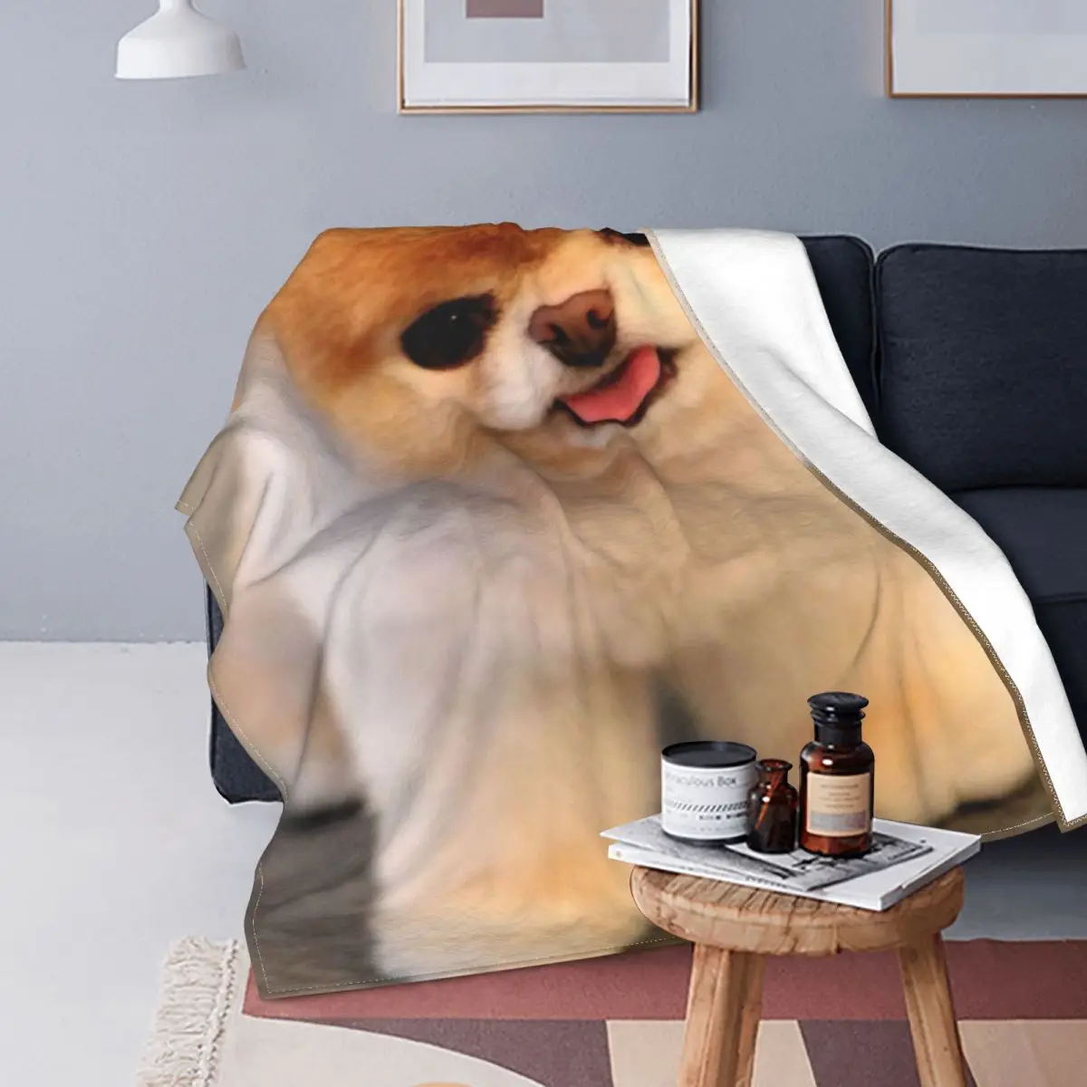 Manta de franela de razas de perro de Pomerania para todas las estaciones, mantas ligeras de animales bonitos para sofá, ropa de
Manta de franela de razas de perro de Pomerania para todas las estaciones, mantas ligeras de animales bonitos para sofá, ropa de
