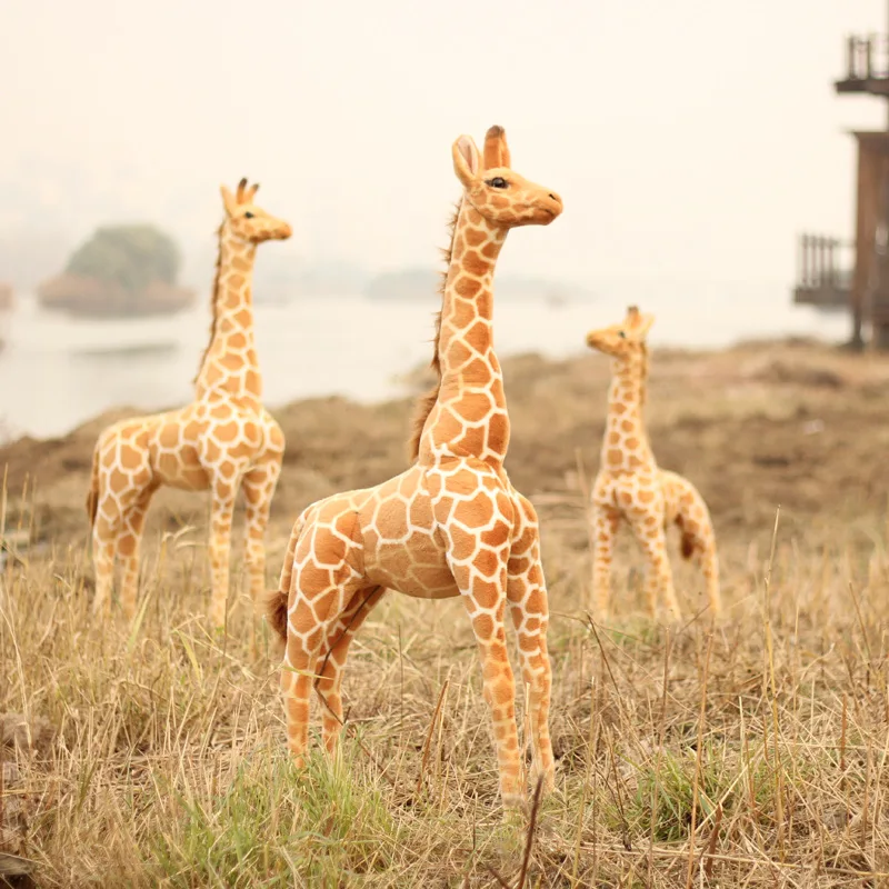 Giraffe Stuffed Dolls simulation animal plush toy doll Children photography Props Home Decoration Baby Birthday Gifts wholesale
Giraffe Stuffed Dolls simulation animal plush toy doll Children photography Props Home Decoration Baby Birthday Gifts wholesale
