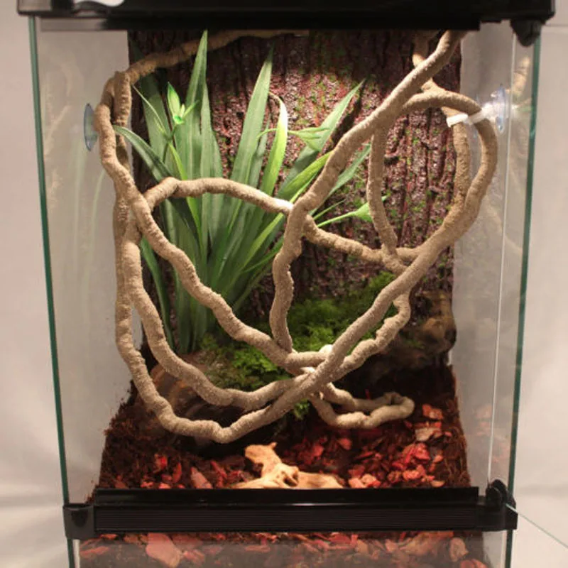 2X1m Large Flexible Vines Habitat Decor Bendable Jungle Climber Reptile Pet Supplies Reptiles Terrarium Decoration
2X1m Large Flexible Vines Habitat Decor Bendable Jungle Climber Reptile Pet Supplies Reptiles Terrarium Decoration