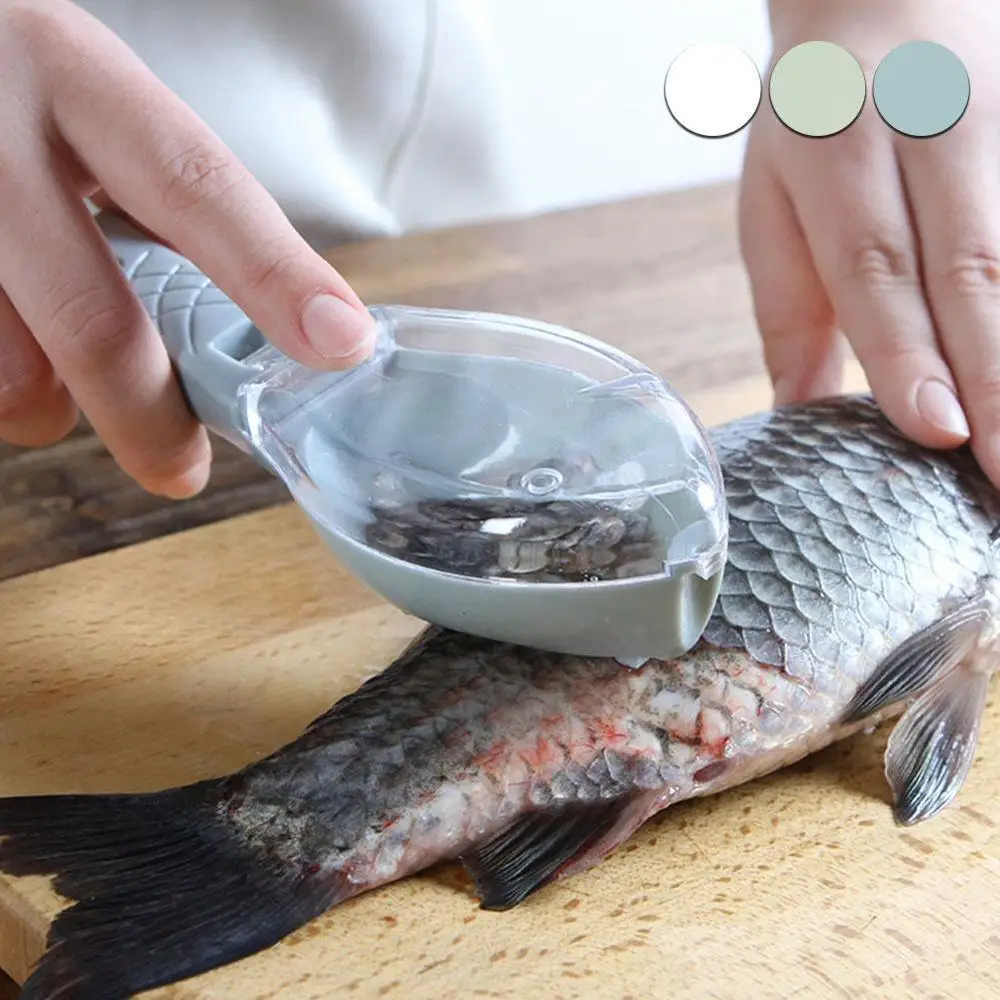 New Fish Scale Remover Scaler Scraper Cleaner Kitchen Tool Peeler Gadgets Fish Scaler Clam Opener Fishs Clam Scale Scraper Sep
New Fish Scale Remover Scaler Scraper Cleaner Kitchen Tool Peeler Gadgets Fish Scaler Clam Opener Fishs Clam Scale Scraper Sep