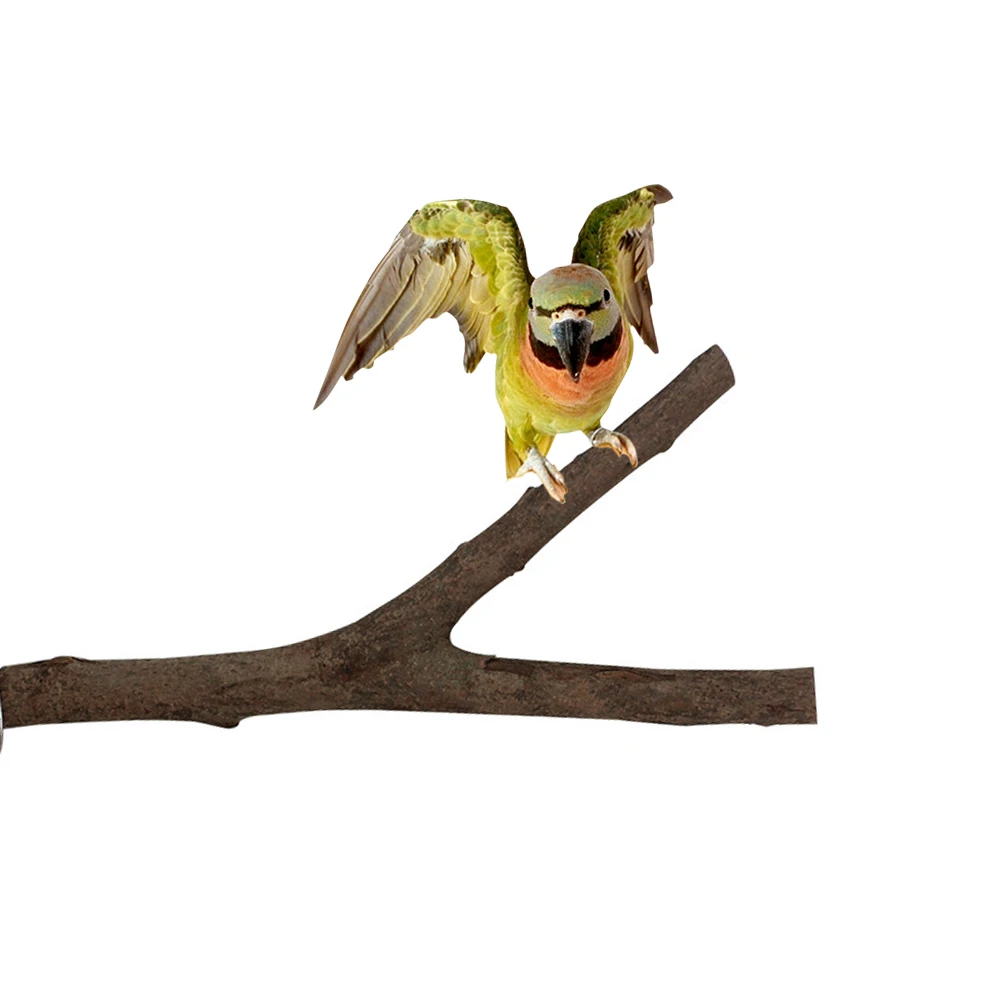 Cockatiel Parakeet Grinding Rod Perches Parrot Bird Birdcage Bite Grinding Claw Branch Bird Nest Wood Pole Standing Stick Toy
Cockatiel Parakeet Grinding Rod Perches Parrot Bird Birdcage Bite Grinding Claw Branch Bird Nest Wood Pole Standing Stick Toy