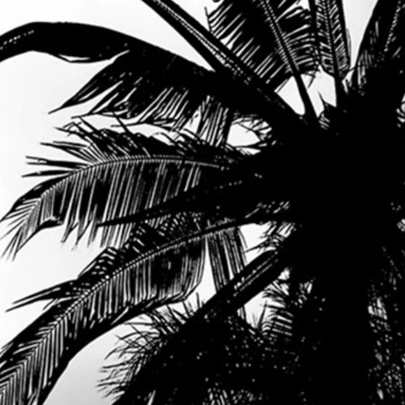 Ink Painting Cushion Cover Black White Leaves Printed Decorative Sofa Cushions Pillowcases Pillows Cover 45X45cm
Ink Painting Cushion Cover Black White Leaves Printed Decorative Sofa Cushions Pillowcases Pillows Cover 45X45cm