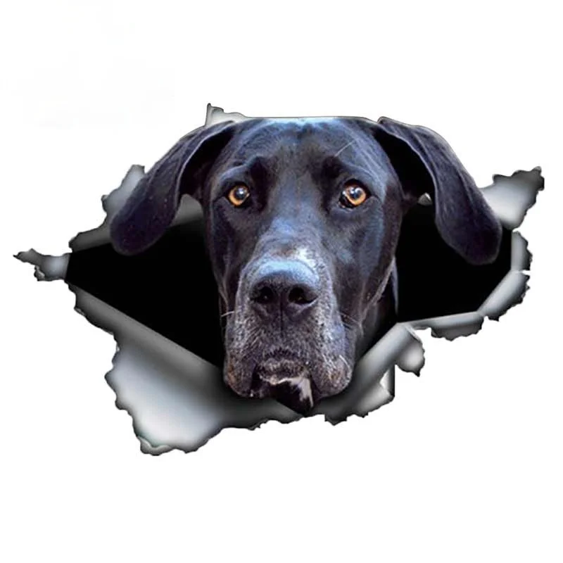 13cm*8cm Black Great Dane Car Sticker Torn Metal Decal 3D Reflective Stickers Waterproof Car Styling Vinyl Decal 1 Pcs
13cm*8cm Black Great Dane Car Sticker Torn Metal Decal 3D Reflective Stickers Waterproof Car Styling Vinyl Decal 1 Pcs