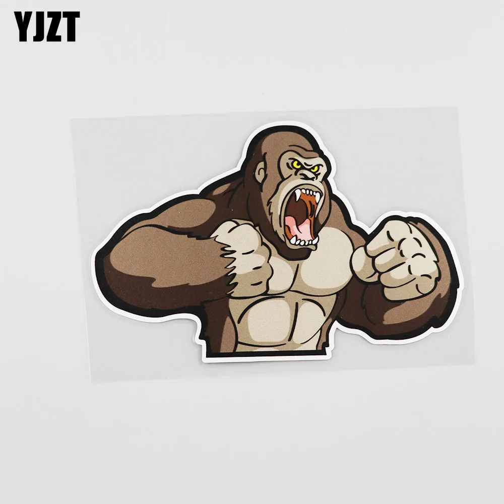 YJZT 16.7CM*10.8CM Cartoon Muscle Interesting Fitness Gorilla Car Sticker 12A-0034 
YJZT 16.7CM*10.8CM Cartoon Muscle Interesting Fitness Gorilla Car Sticker 12A-0034