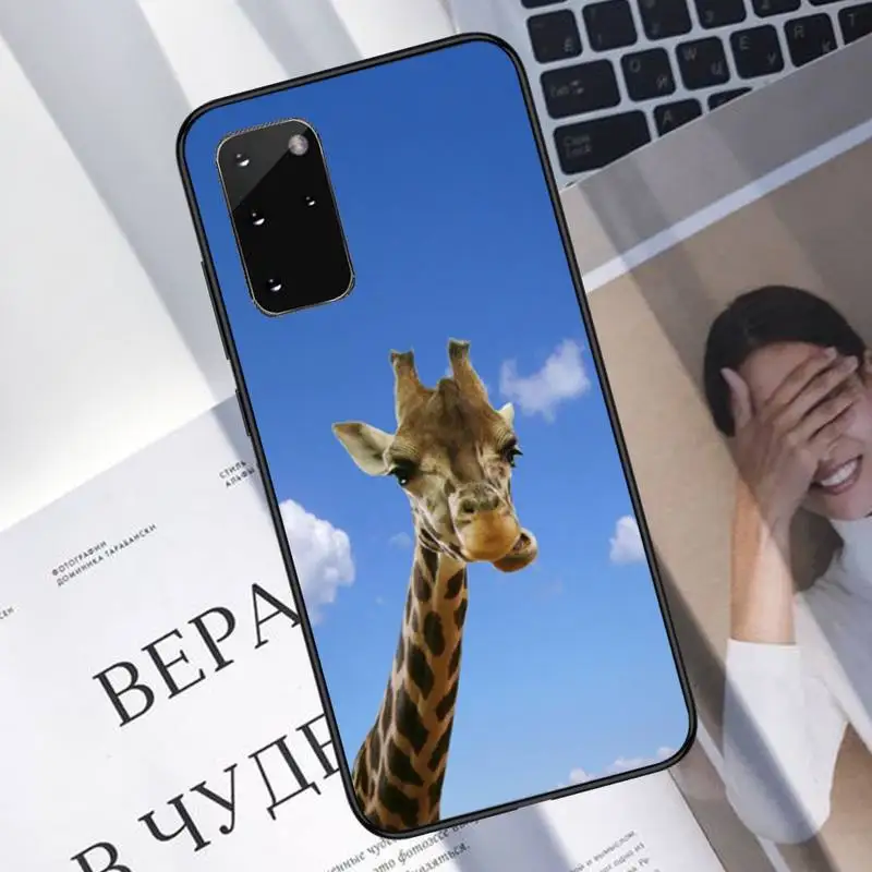 Giraffe funny funny blue sky grass Phone Case For Samsung galaxy S 7 8 9 10 20 edge A 6 10 20 30 50 51 70 note 10 plus
Giraffe funny funny blue sky grass Phone Case For Samsung galaxy S 7 8 9 10 20 edge A 6 10 20 30 50 51 70 note 10 plus