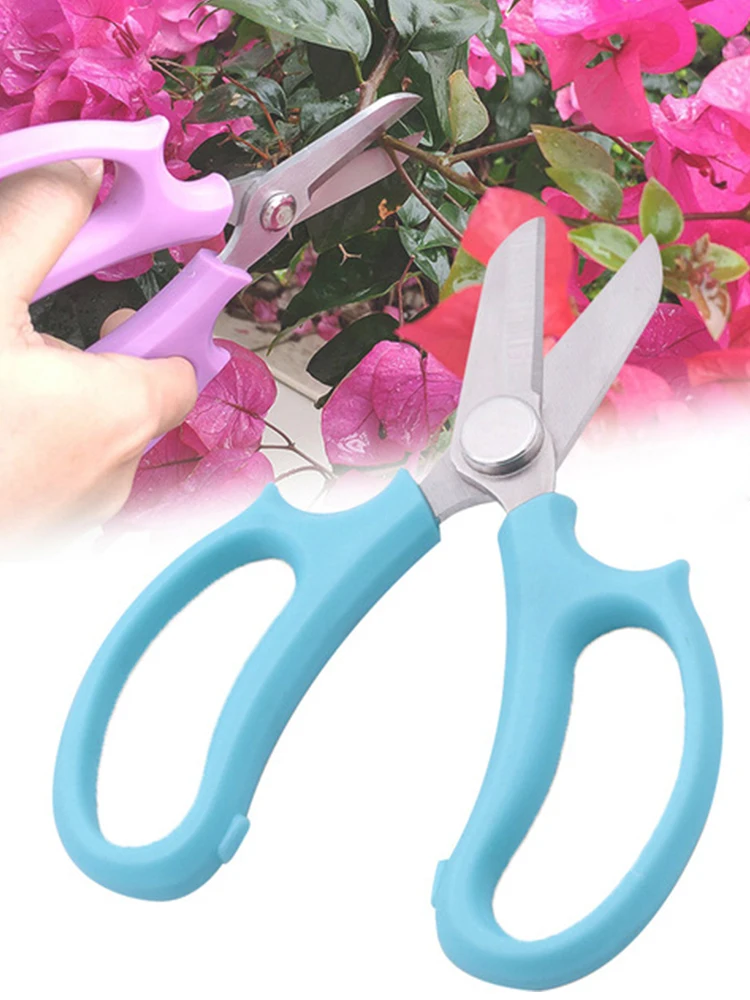 Садовые ножницы из нержавеющей стали, бонсай, инструмент для обрезки растений, цветов, ветвей дерева, ножницы для сбора фруктов, домашние но...
Садовые ножницы из нержавеющей стали, бонсай, инструмент для обрезки растений, цветов, ветвей дерева, ножницы для сбора фруктов, домашние но...