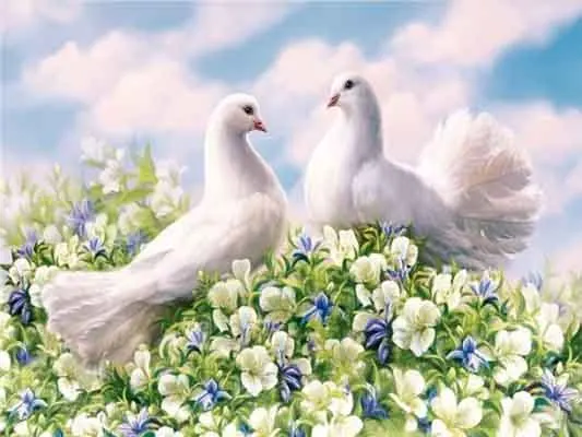 5D DIY diamond painting animal full square diamond embroidery dove mosaic picture rhinestone home decoration
5D DIY diamond painting animal full square diamond embroidery dove mosaic picture rhinestone home decoration