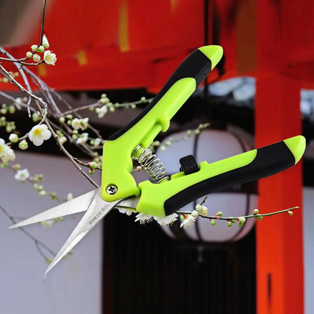 Garden Pruning Shears Orchard Picking Scissors Potted Trim Weed Branches Garden Flower Sharp Scissors Gardening Hand Tools
Garden Pruning Shears Orchard Picking Scissors Potted Trim Weed Branches Garden Flower Sharp Scissors Gardening Hand Tools