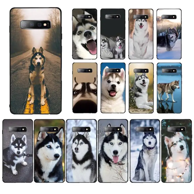 Yinuoda Alaskan Huskies Dog Phone Case for Samsung S10 21 20 9 8 plus lite S20 UlTRA 7edge
Yinuoda Alaskan Huskies Dog Phone Case for Samsung S10 21 20 9 8 plus lite S20 UlTRA 7edge