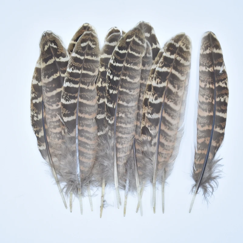 20Pcs/Lot Natural Female Pheasant Feathers for Crafts 4-6"/10-15CM Feather Decor Feathers Decoration Plumas Carnaval Chicken DIY
20Pcs/Lot Natural Female Pheasant Feathers for Crafts 4-6"/10-15CM Feather Decor Feathers Decoration Plumas Carnaval Chicken DIY