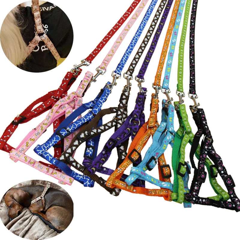 Small Dog Cat Harness Leash Adjustable Vest Collar Puppy Outdoor Walking Chihuahua Terier Schnauzer
Small Dog Cat Harness Leash Adjustable Vest Collar Puppy Outdoor Walking Chihuahua Terier Schnauzer