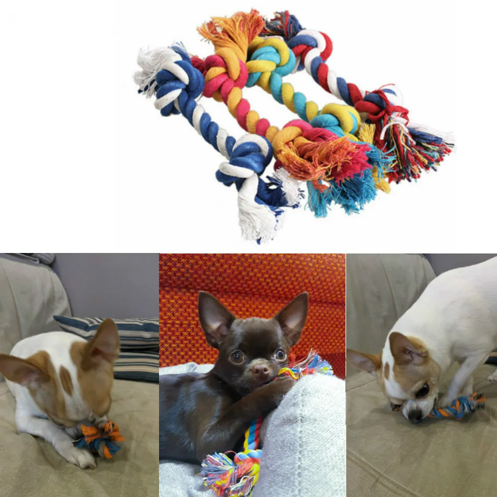 1 Pcs Pets Dogs Pet Supplies Pet Dog Puppy Cotton Chew Knot Toy Durable Braided Bone Rope 15CM Funny Tool (Random Color )
1 Pcs Pets Dogs Pet Supplies Pet Dog Puppy Cotton Chew Knot Toy Durable Braided Bone Rope 15CM Funny Tool (Random Color )