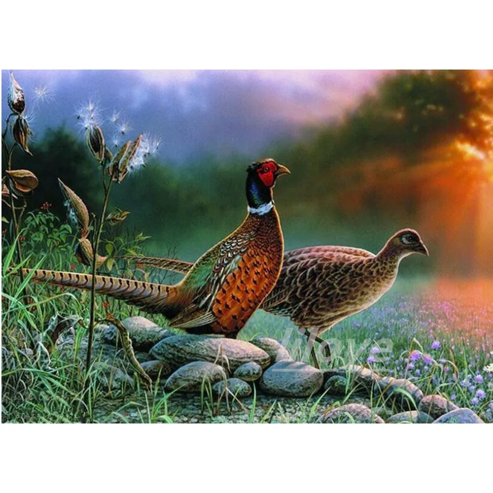 Full Square Round 5D DIY Diamond Painting Animal pheasant Pictures 3D Diamond Embroidery Mosaic Crystal Gift Home Decor DF164
Full Square Round 5D DIY Diamond Painting Animal pheasant Pictures 3D Diamond Embroidery Mosaic Crystal Gift Home Decor DF164
