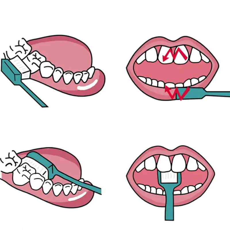 3 Pcs/set Elastic Gums Care Tooth Cleaning Soft Fine Tip Soft Bristle Brush Adult Toothbrush
3 Pcs/set Elastic Gums Care Tooth Cleaning Soft Fine Tip Soft Bristle Brush Adult Toothbrush