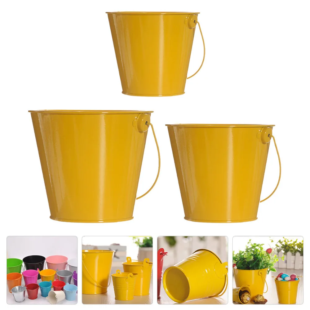 3Pcs Decorative Flowerpot Succulent Flower Pots Decorative Iron Flower Container
3Pcs Decorative Flowerpot Succulent Flower Pots Decorative Iron Flower Container