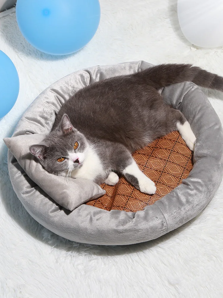 Radiator Feutre Kennel Indoor Foldable Round Plush Cat Bed Cave Washable Hamburger Warm Kedi Evi Niche Chat Pumpkin Bed
Radiator Feutre Kennel Indoor Foldable Round Plush Cat Bed Cave Washable Hamburger Warm Kedi Evi Niche Chat Pumpkin Bed