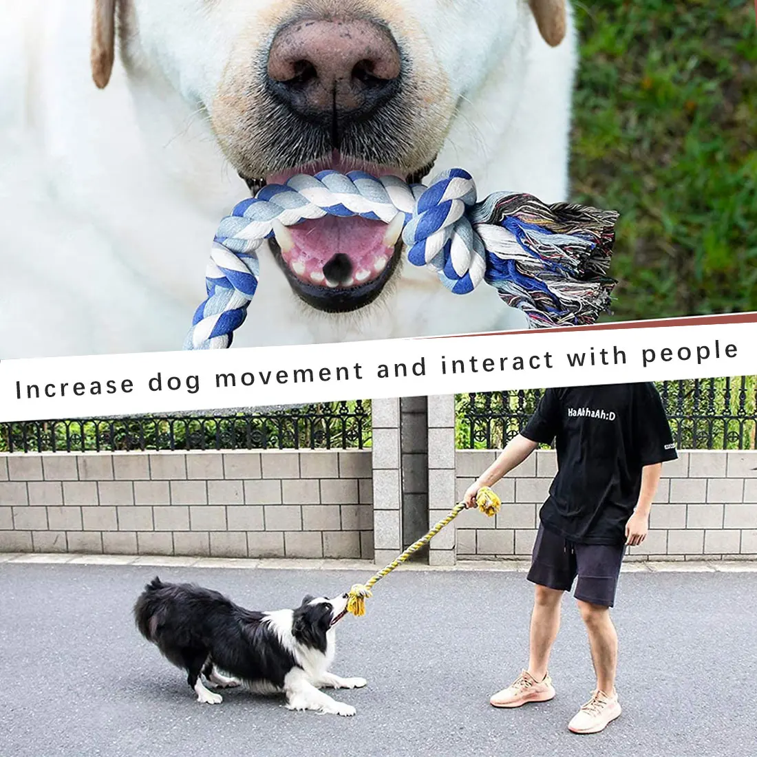 Pet dog suppliesDog bite rope toysPet puppies cotton chewing knot toysDurable braided bone ropeInteresting tools Clean teeth
Pet dog suppliesDog bite rope toysPet puppies cotton chewing knot toysDurable braided bone ropeInteresting tools Clean teeth