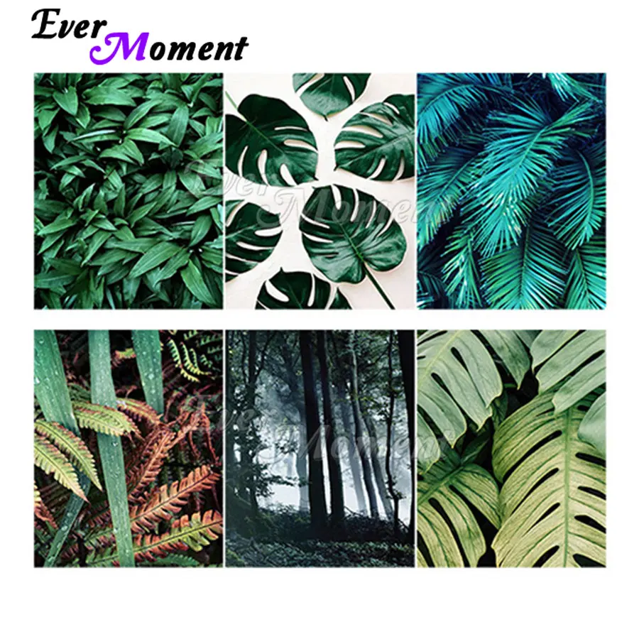Ever Moment Diamond Painting Wall Art Decoration Full Square Resin Drill Handmade Green Leaves Nature Scenic Gift Kit 5M020
Ever Moment Diamond Painting Wall Art Decoration Full Square Resin Drill Handmade Green Leaves Nature Scenic Gift Kit 5M020