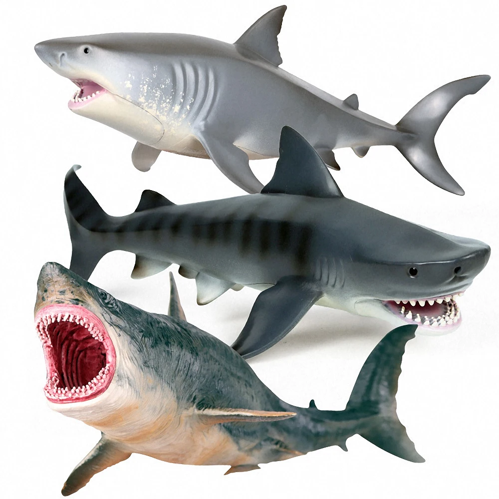 

Simulation Sea Life Savage Megalodon Whale Shark Model Action Figure PVC Ocean Marine Animal Educational Collection Toy Kid