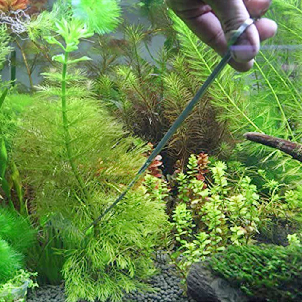 5PCS Aquarium Tool Kit Stainless Steel Scissors Tweezers Shovel Fish Tank Cleaning Kit Set Water Grass Tool
5PCS Aquarium Tool Kit Stainless Steel Scissors Tweezers Shovel Fish Tank Cleaning Kit Set Water Grass Tool