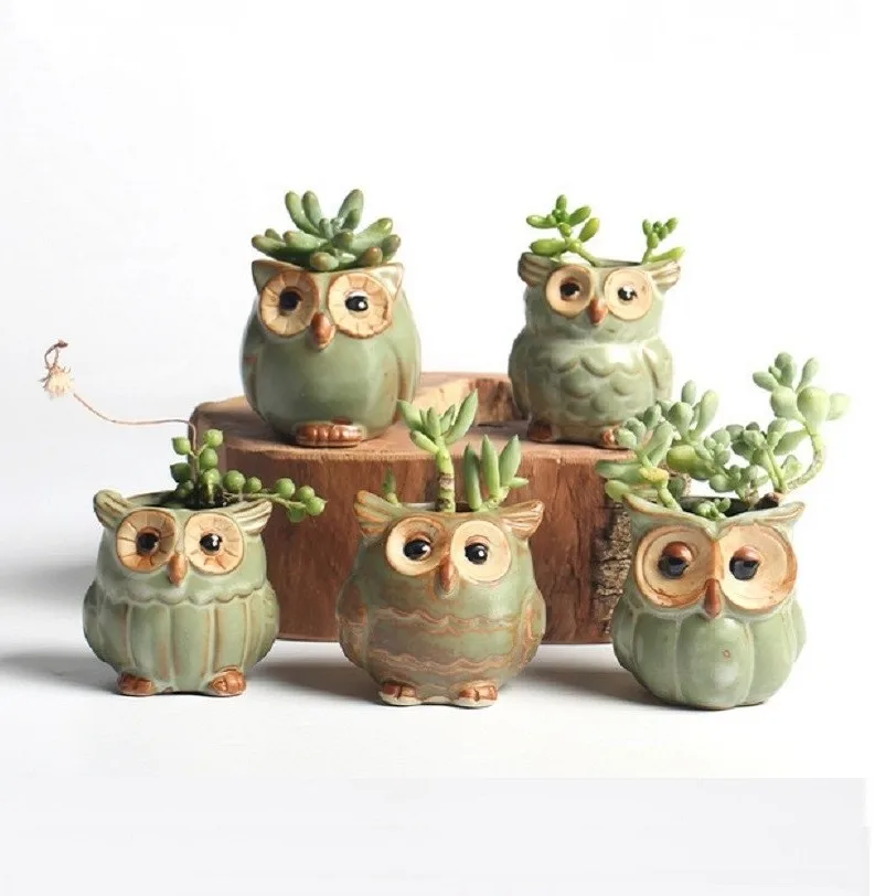 5pcs/lot Owl Flower Plant Pots Animal Planter Creative Ceramic Classic Pot for Fleshy Succulent Plant Home Garden Decoration
5pcs/lot Owl Flower Plant Pots Animal Planter Creative Ceramic Classic Pot for Fleshy Succulent Plant Home Garden Decoration