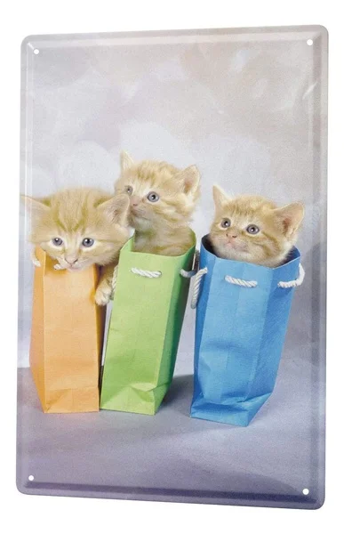 Tin Sign Metal Plate Decorative Sign Home Decor Plaques Cat Decoration Puppies Tote Bag Metal Plate 8X12inch Tin Signs
Tin Sign Metal Plate Decorative Sign Home Decor Plaques Cat Decoration Puppies Tote Bag Metal Plate 8X12inch Tin Signs